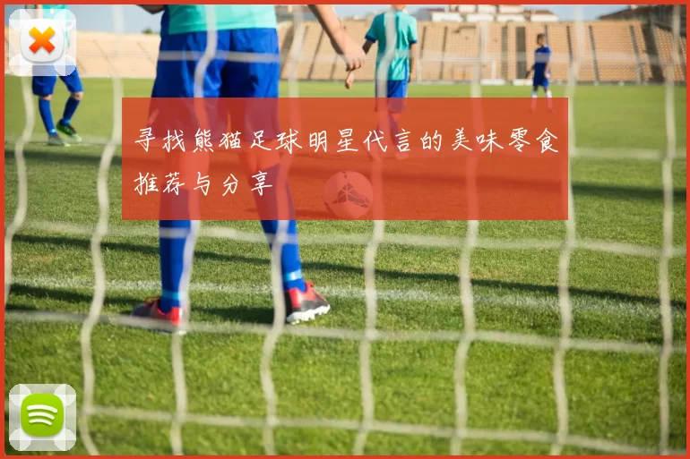 寻找熊猫足球明星代言的美味零食推荐与分享