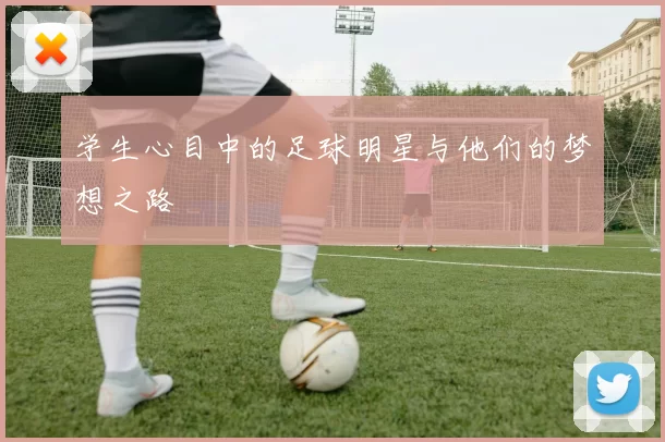 学生心目中的足球明星与他们的梦想之路