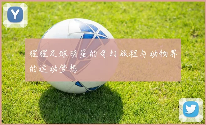 猩猩足球明星的奇幻旅程与动物界的运动梦想