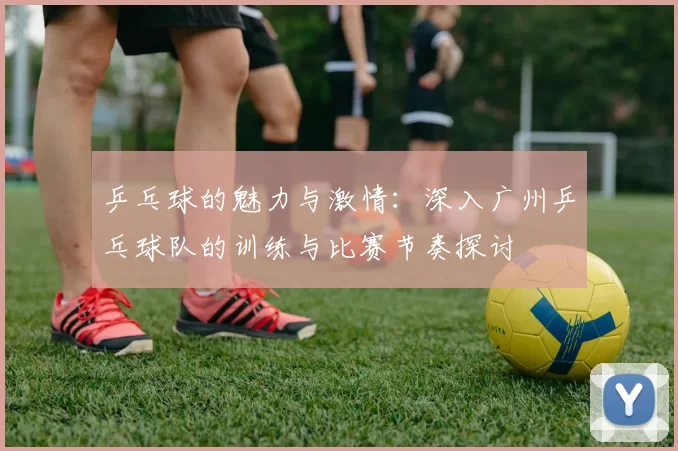 乒乓球的魅力与激情：深入广州乒乓球队的训练与比赛节奏探讨