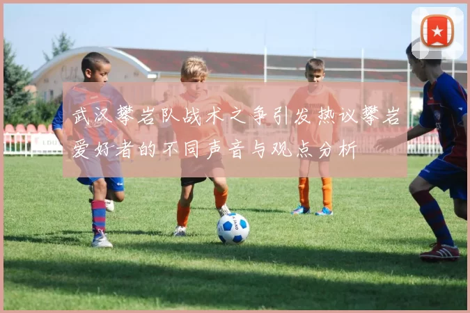 武汉攀岩队战术之争引发热议攀岩爱好者的不同声音与观点分析