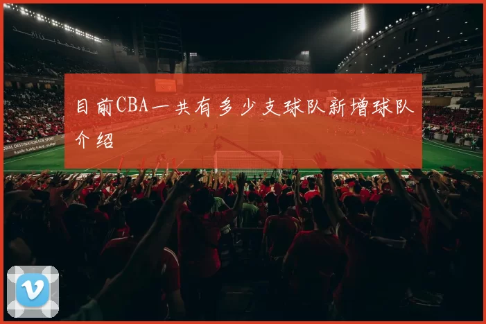 目前CBA一共有多少支球队新增球队介绍