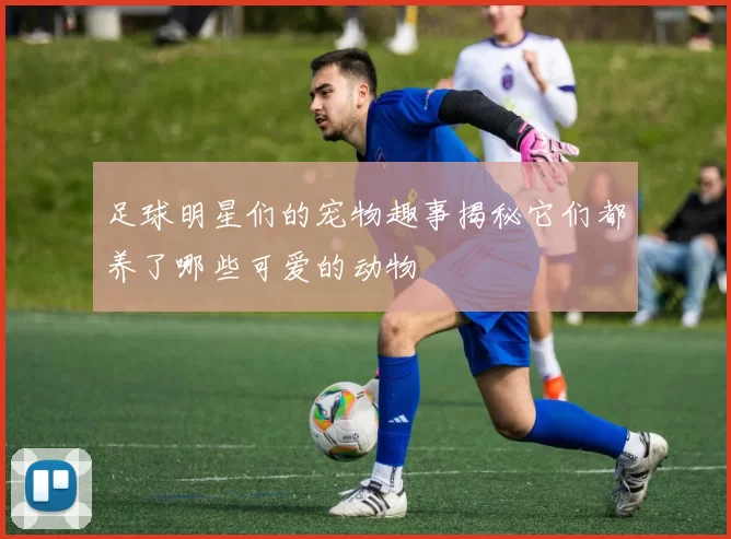 足球明星们的宠物趣事揭秘它们都养了哪些可爱的动物