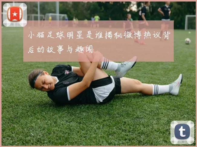 小猫足球明星是谁揭秘微博热议背后的故事与趣闻