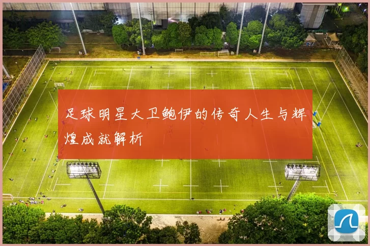 足球明星大卫鲍伊的传奇人生与辉煌成就解析