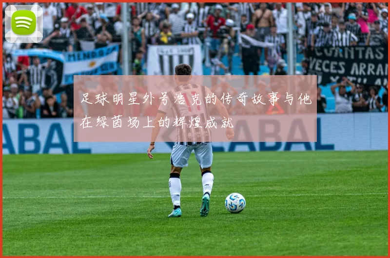 足球明星外号浩克的传奇故事与他在绿茵场上的辉煌成就