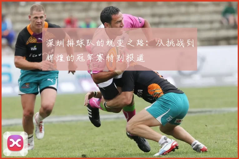 深圳排球队的蜕变之路：从挑战到辉煌的冠军赛特别报道