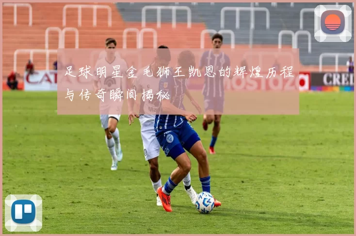 足球明星金毛狮王凯恩的辉煌历程与传奇瞬间揭秘
