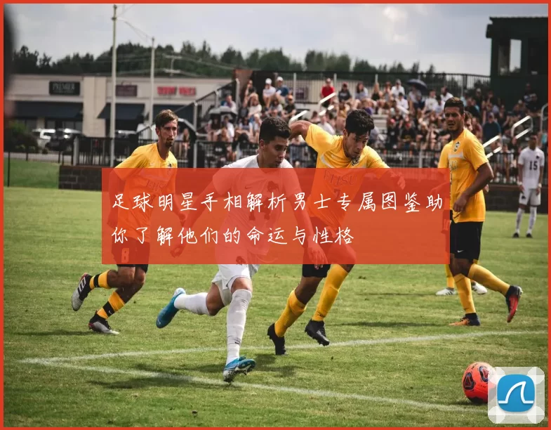 足球明星手相解析男士专属图鉴助你了解他们的命运与性格
