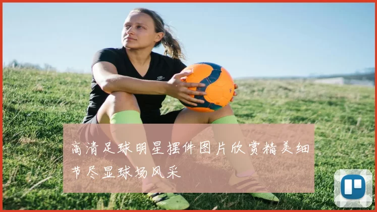 高清足球明星摆件图片欣赏精美细节尽显球场风采