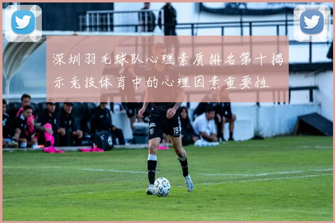 深圳羽毛球队心理素质排名第十揭示竞技体育中的心理因素重要性