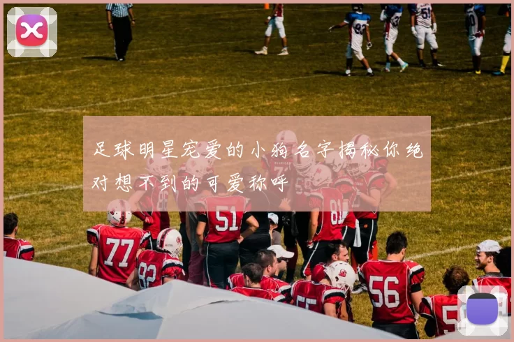 足球明星宠爱的小狗名字揭秘你绝对想不到的可爱称呼