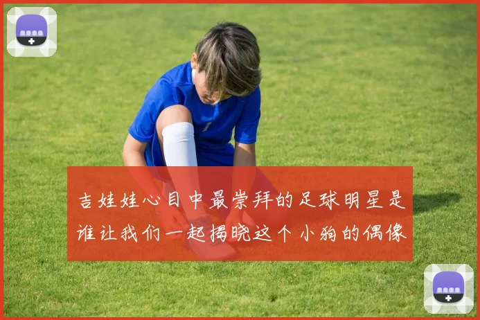 吉娃娃心目中最崇拜的足球明星是谁让我们一起揭晓这个小狗的偶像之谜