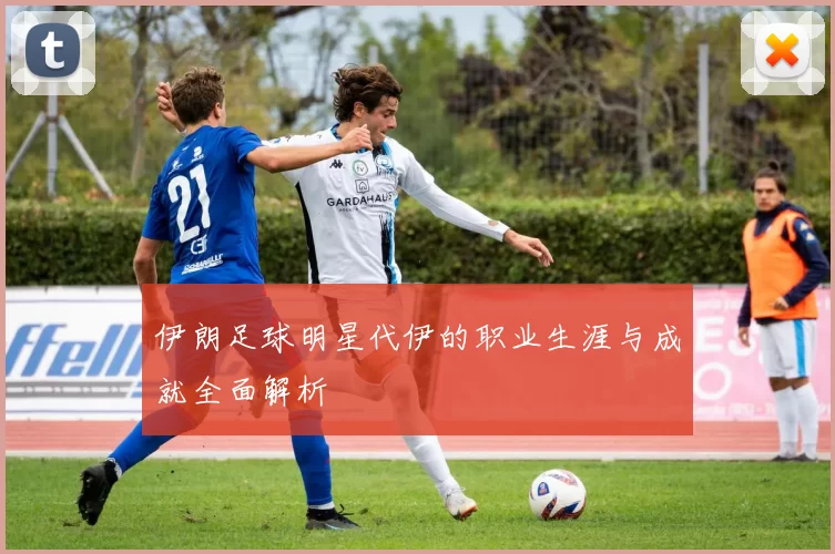 伊朗足球明星代伊的职业生涯与成就全面解析