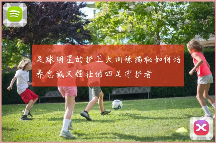 足球明星的护卫犬训练揭秘如何培养忠诚又强壮的四足守护者