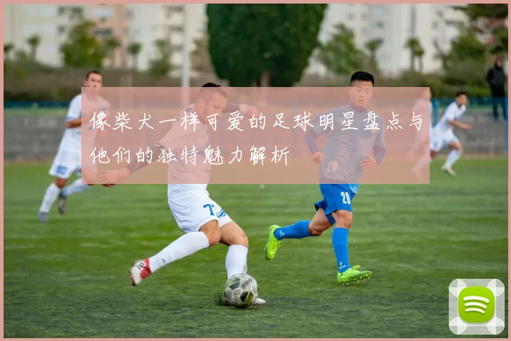 像柴犬一样可爱的足球明星盘点与他们的独特魅力解析